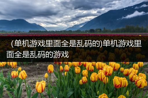 （单机游戏里面全是乱码的)单机游戏里面全是乱码的游戏