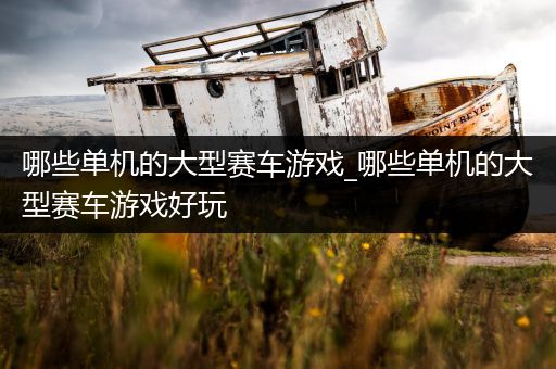 哪些单机的大型赛车游戏_哪些单机的大型赛车游戏好玩