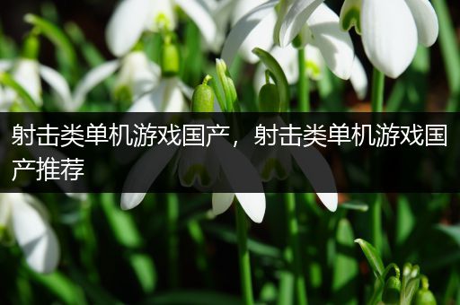 射击类单机游戏国产，射击类单机游戏国产推荐