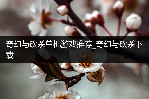 奇幻与砍杀单机游戏推荐_奇幻与砍杀下载