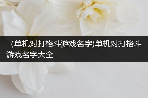 （单机对打格斗游戏名字)单机对打格斗游戏名字大全