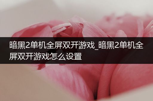 暗黑2单机全屏双开游戏_暗黑2单机全屏双开游戏怎么设置