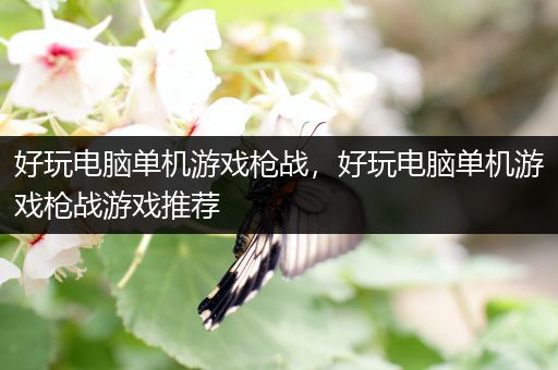 好玩电脑单机游戏枪战，好玩电脑单机游戏枪战游戏推荐