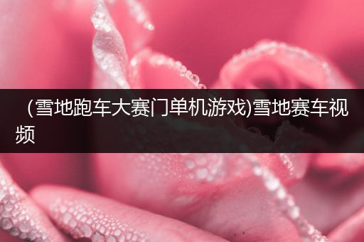 （雪地跑车大赛门单机游戏)雪地赛车视频