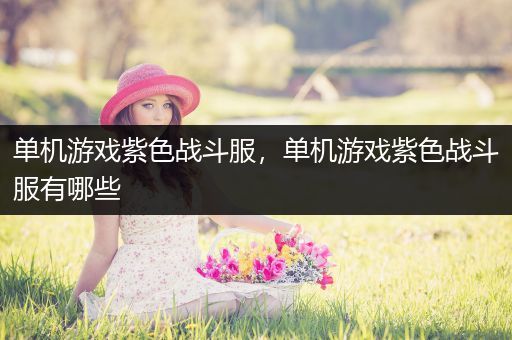 单机游戏紫色战斗服，单机游戏紫色战斗服有哪些