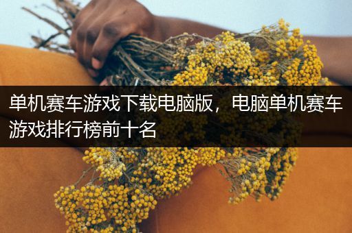 单机赛车游戏下载电脑版，电脑单机赛车游戏排行榜前十名