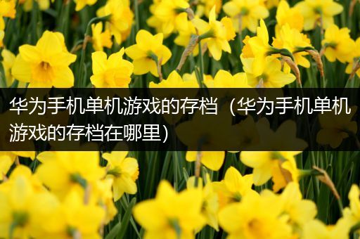 华为手机单机游戏的存档（华为手机单机游戏的存档在哪里）