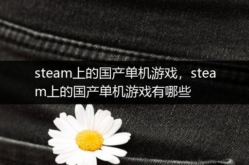 steam上的国产单机游戏，steam上的国产单机游戏有哪些