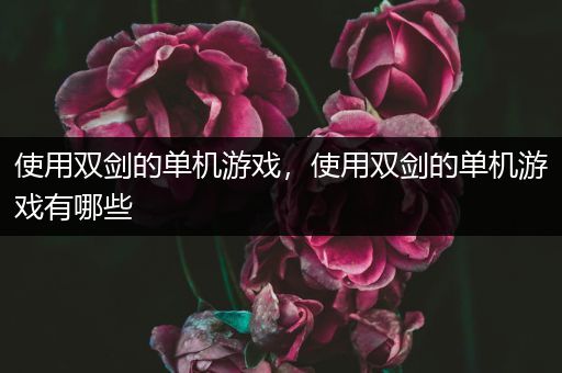 使用双剑的单机游戏，使用双剑的单机游戏有哪些