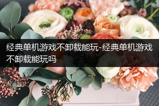 经典单机游戏不卸载能玩-经典单机游戏不卸载能玩吗