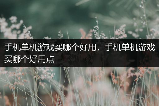 手机单机游戏买哪个好用，手机单机游戏买哪个好用点