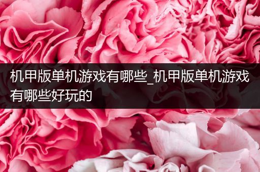 机甲版单机游戏有哪些_机甲版单机游戏有哪些好玩的