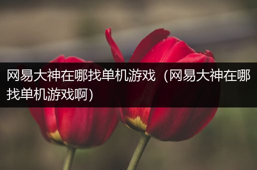 网易大神在哪找单机游戏（网易大神在哪找单机游戏啊）