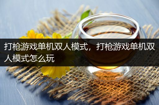 打枪游戏单机双人模式，打枪游戏单机双人模式怎么玩