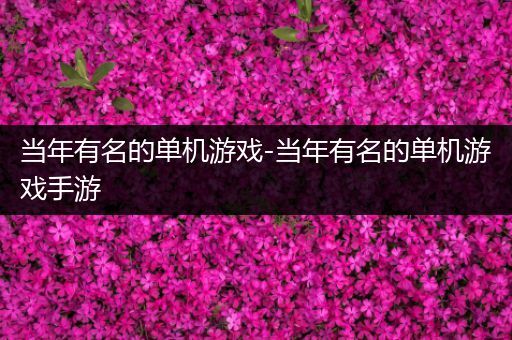 当年有名的单机游戏-当年有名的单机游戏手游