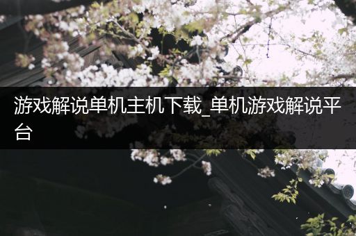 游戏解说单机主机下载_单机游戏解说平台