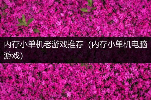 内存小单机老游戏推荐（内存小单机电脑游戏）