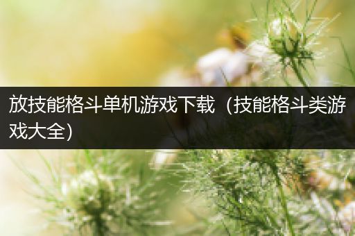放技能格斗单机游戏下载（技能格斗类游戏大全）