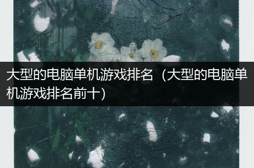 大型的电脑单机游戏排名（大型的电脑单机游戏排名前十）