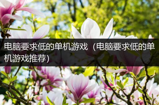电脑要求低的单机游戏（电脑要求低的单机游戏推荐）