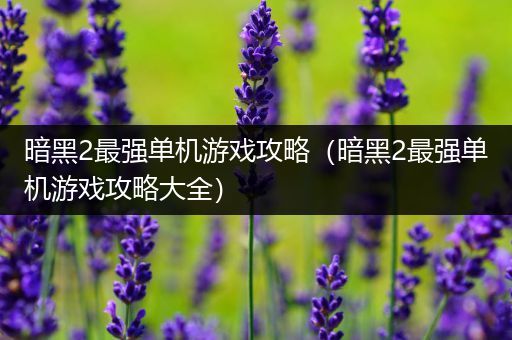 暗黑2最强单机游戏攻略（暗黑2最强单机游戏攻略大全）