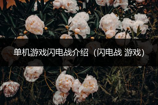 单机游戏闪电战介绍（闪电战 游戏）