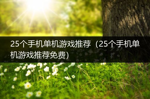 25个手机单机游戏推荐（25个手机单机游戏推荐免费）