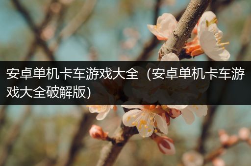 安卓单机卡车游戏大全（安卓单机卡车游戏大全破解版）