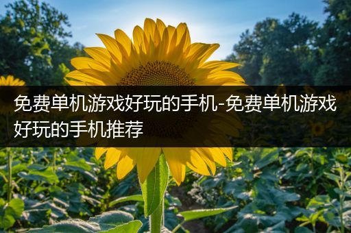 免费单机游戏好玩的手机-免费单机游戏好玩的手机推荐