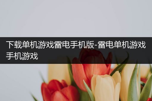 下载单机游戏雷电手机版-雷电单机游戏手机游戏