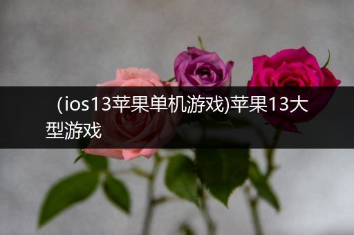 （ios13苹果单机游戏)苹果13大型游戏