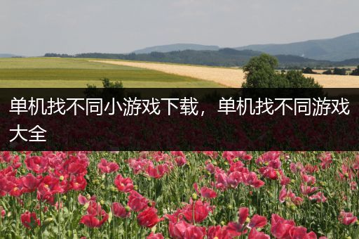 单机找不同小游戏下载，单机找不同游戏大全