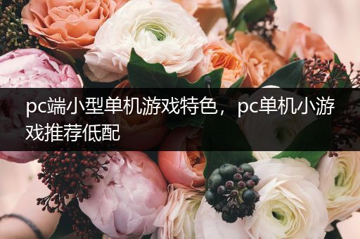 pc端小型单机游戏特色，pc单机小游戏推荐低配