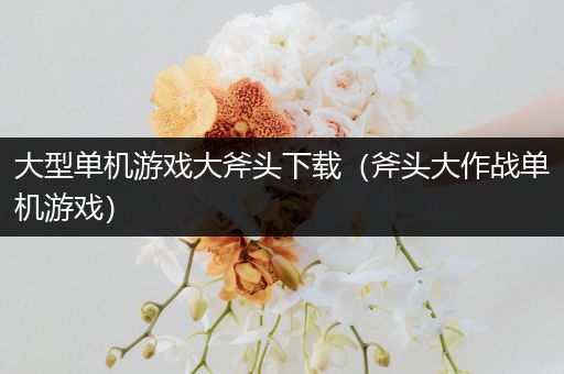 大型单机游戏大斧头下载（斧头大作战单机游戏）
