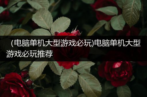 （电脑单机大型游戏必玩)电脑单机大型游戏必玩推荐