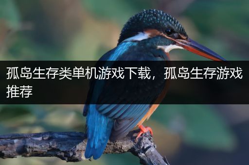 孤岛生存类单机游戏下载，孤岛生存游戏推荐