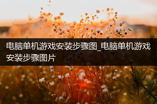 电脑单机游戏安装步骤图_电脑单机游戏安装步骤图片