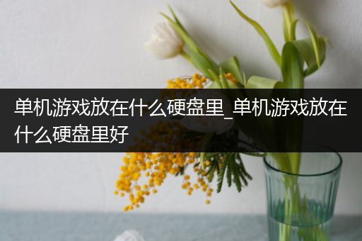 单机游戏放在什么硬盘里_单机游戏放在什么硬盘里好