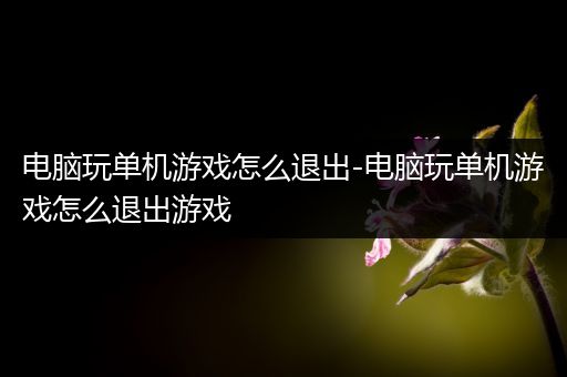 电脑玩单机游戏怎么退出-电脑玩单机游戏怎么退出游戏