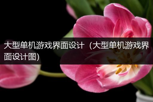 大型单机游戏界面设计（大型单机游戏界面设计图）