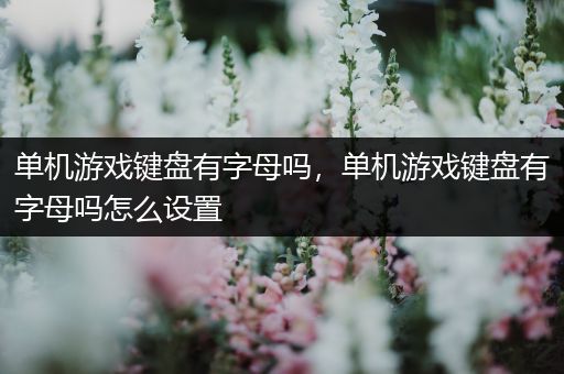 单机游戏键盘有字母吗，单机游戏键盘有字母吗怎么设置
