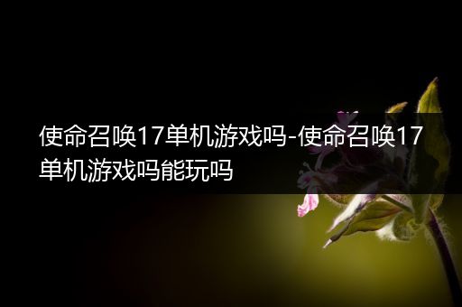 使命召唤17单机游戏吗-使命召唤17单机游戏吗能玩吗