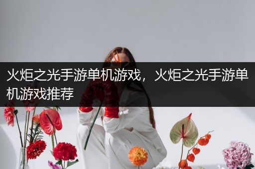 火炬之光手游单机游戏，火炬之光手游单机游戏推荐