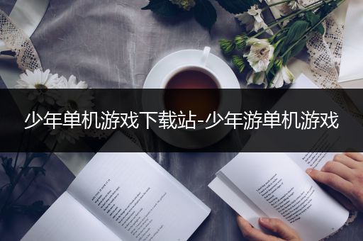 少年单机游戏下载站-少年游单机游戏
