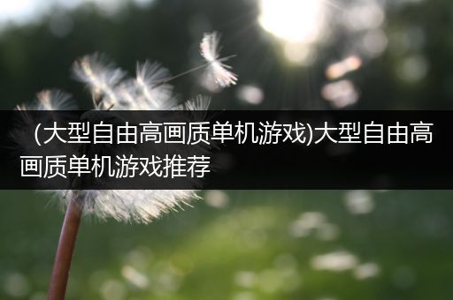 （大型自由高画质单机游戏)大型自由高画质单机游戏推荐