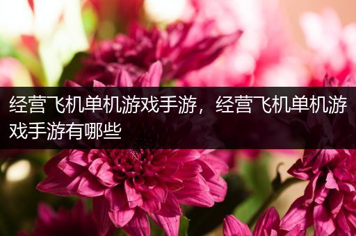 经营飞机单机游戏手游，经营飞机单机游戏手游有哪些