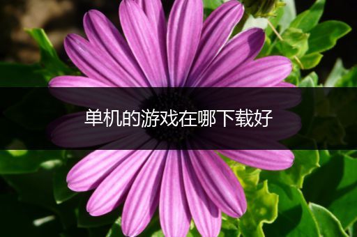 单机的游戏在哪下载好