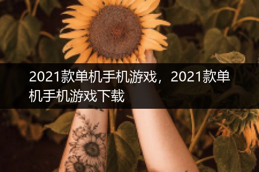 2021款单机手机游戏，2021款单机手机游戏下载