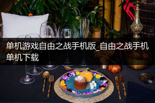 单机游戏自由之战手机版_自由之战手机单机下载