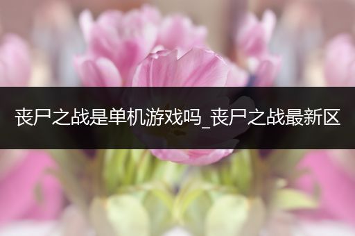 丧尸之战是单机游戏吗_丧尸之战最新区